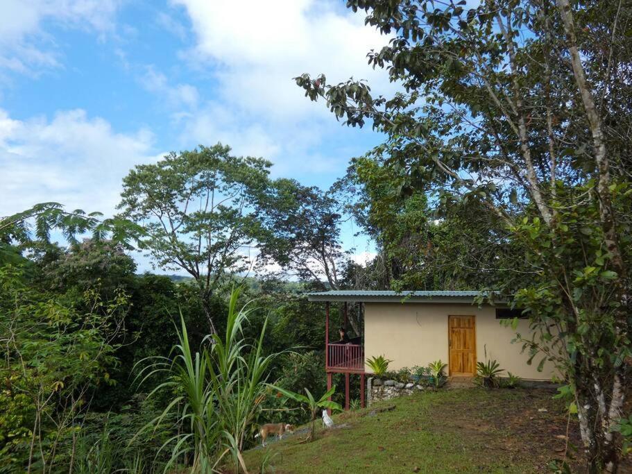 Appartement Tapiru'S House - Bahia Drake à Drakes Bay Extérieur photo