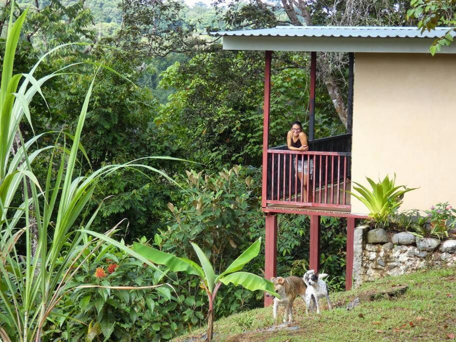 Appartement Tapiru'S House - Bahia Drake à Drakes Bay Extérieur photo